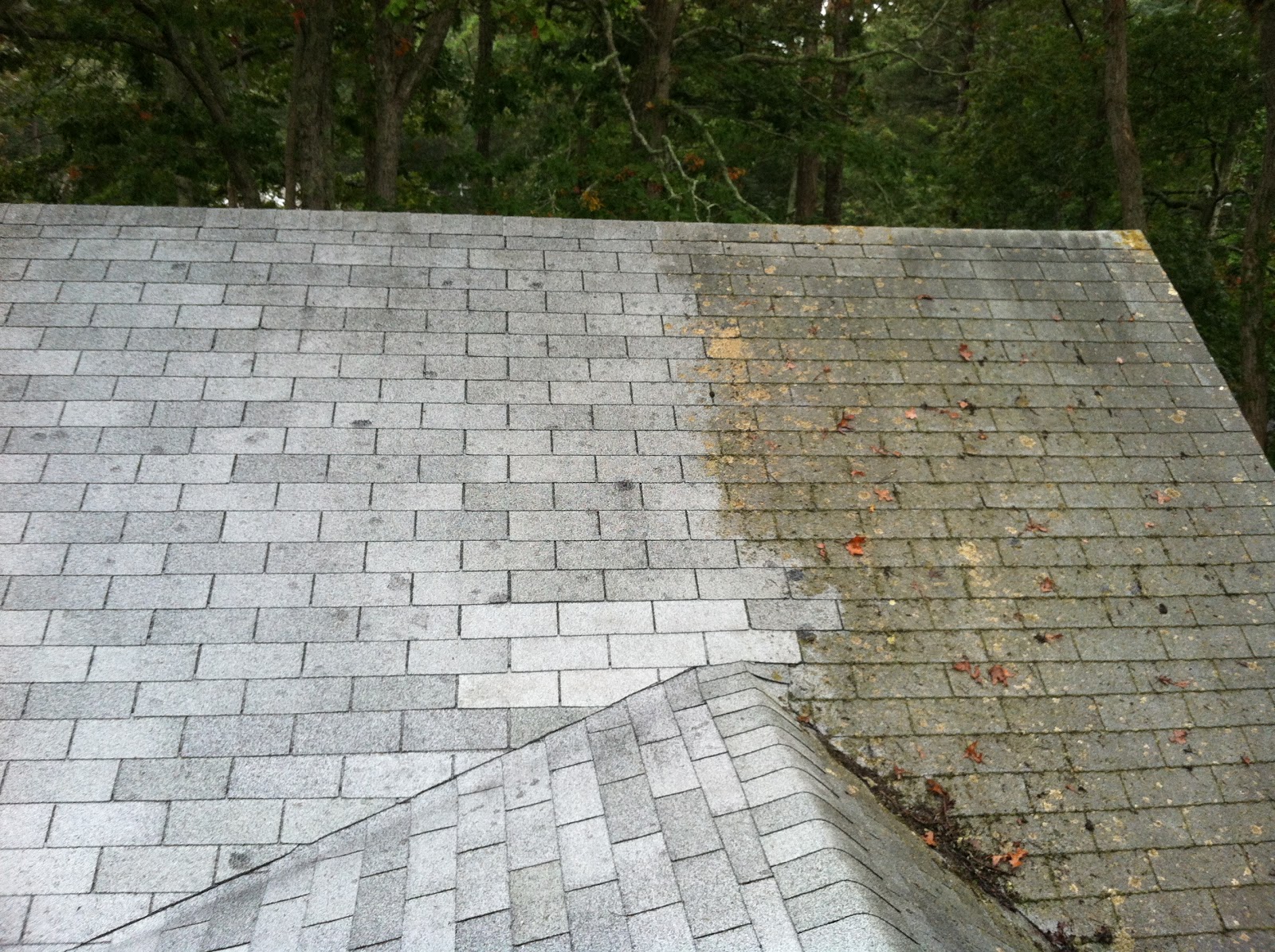 roof pressure washing cleaning roofs shingle shingles wash clean tampa power washer mold softwashing area bay pressurewashingclearwater asphalt rid very