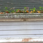 dirty gutter