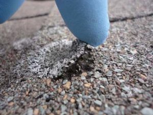 eaten roof shingle