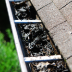nasty gutter