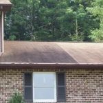 roof cleaning 3
