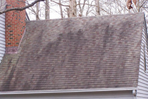 roof stains