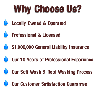 Why Choose Us 2